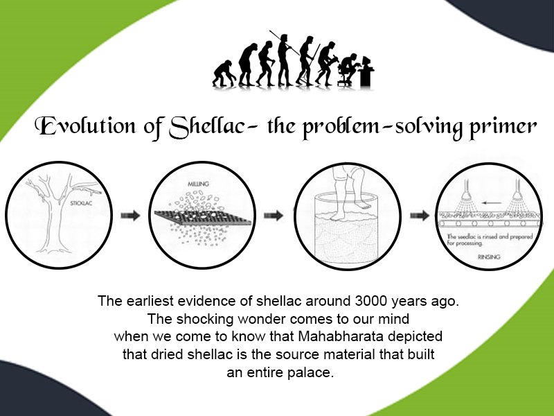 Evolution of Shellac the Problem Solving Primer